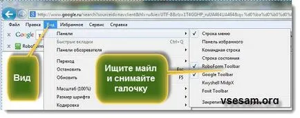 Как да премахнете лентата за търсене поща RU (панел) Как да премахнете лентата за търсене поща RU