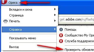 Как да инсталирате Flash Player