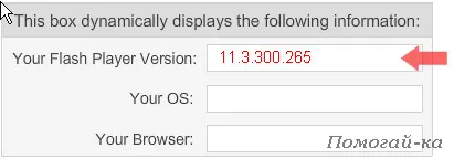 Как да инсталирате Flash Player