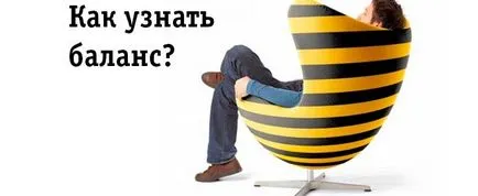 Как мога да разбера баланса Beeline