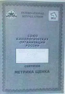 Изглежда като кученце метрични и родословие кучета документи при закупуване