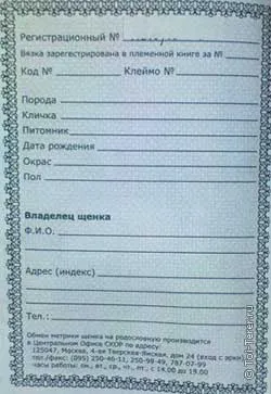 Изглежда като кученце метрични и родословие кучета документи при закупуване
