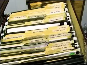 Изглежда като кученце метрични и родословие кучета документи при закупуване
