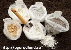 Как да се повиши добиви моркови