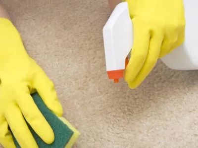 Как да се извлече миризмата на котка урина ефективно средство