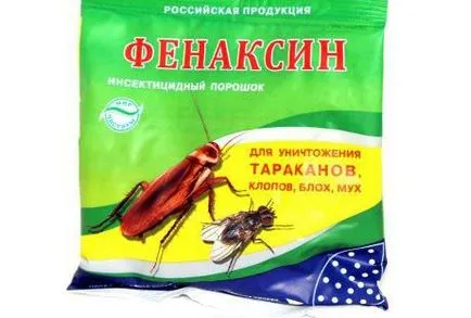 Как да донесе бълхи от апартамента, бързо се отървете от тях народни средства