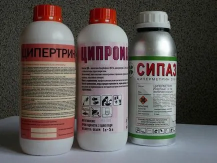 Как да донесе бълхи от апартамента бързо и ефективно