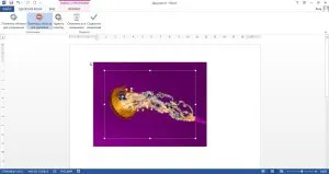 Както и в един модел Word промяна (на Word номер) Как да редактирате картина в Word