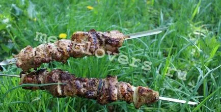 Как да се маринова шишчета от свинско месо в месото е сочно (месо) Как да се маринова шишчета от свинско месо в месото е сочно