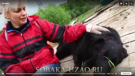 Станах доброволец автор Нина Korotkaya, приют за бездомни животни YUZAO (Нина) Станах доброволец автор Нина Korotkaya, приют за бездомни животни YUZAO