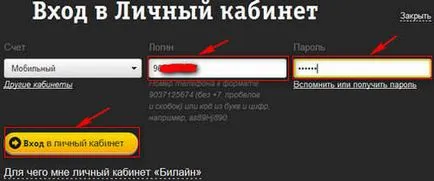 Как да отиде в зоната на членовете на Beeline