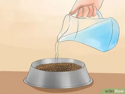 Как да стигнем на кучето да пие вода