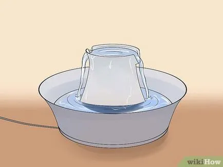 Как да стигнем на кучето да пие вода