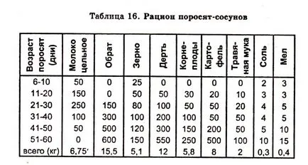 Какво да се хранят прасета в месечния дома