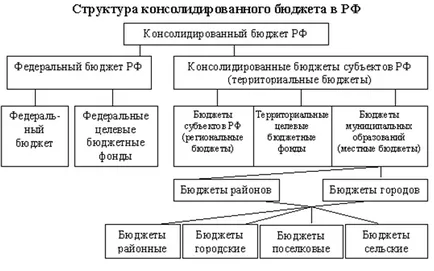 Фискалните цели и инструменти на политиката
