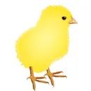 мацка снимки