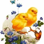 Снимки на пилета за детска градина деца, Великден в черупка 100 снимка, декупаж Азбука (снимки) Снимки на пилета за детска градина деца, Великден в черупката 100 снимки, ABC декупаж