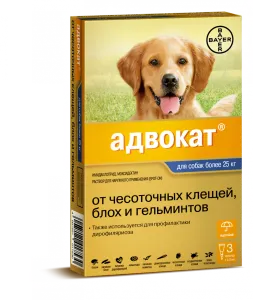 Капки против кърлежи за кучета - ревюта, цена, какъв по-добър, за да изберете и инструкции за употреба