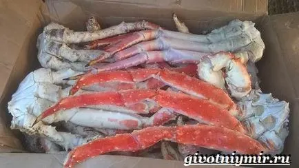 голямо раковидно