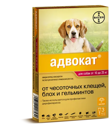 Капки против кърлежи за кучета - ревюта, цена, какъв по-добър, за да изберете и инструкции за употреба
