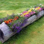 Flowerbeds в градината (45 снимки) предлага красиви, градински огради, идеи, снимки и видео