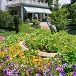 Flowerbeds в градината (45 снимки) предлага красиви, градински огради, идеи, снимки и видео