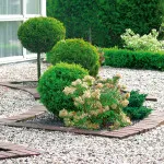 Flowerbeds в градината (45 снимки) предлага красиви, градински огради, идеи, снимки и видео