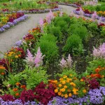 Flowerbeds в градината (45 снимки) предлага красиви, градински огради, идеи, снимки и видео