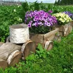 Flowerbeds в градината (45 снимки) предлага красиви, градински огради, идеи, снимки и видео