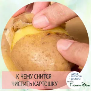 Защо мечтата на един картоф в съня означава, че растението, премахват или кори от картофи
