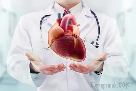 Сърдечни клапи, тези врати трябва да функционират правилно