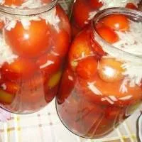 Домати консервирани, домати - (повече от 16 рецепти) със снимки на