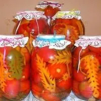 Домати консервирани, домати - (повече от 16 рецепти) със снимки на
