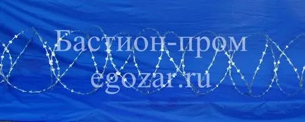 бодлива тел