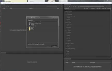 Кодиране на стоките в Adobe Media Encoder