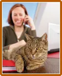 Храна за котки Bosch sanabelle