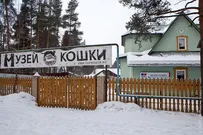 Kotokafe София - кафене с котки в Санкт Петербург