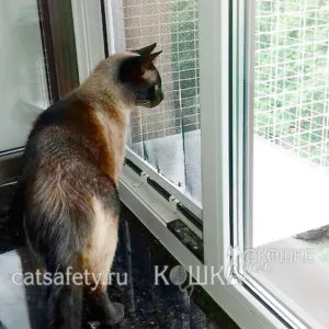 Feline балкон стационарен