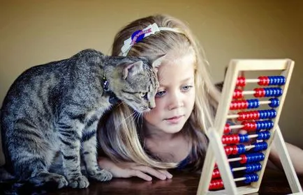 Cat-котка Cat-котка