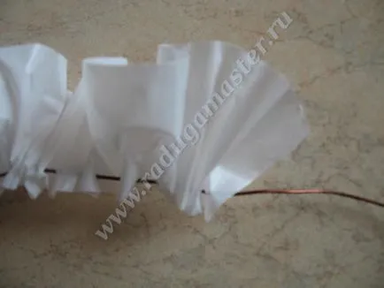 Пиле на опаковките