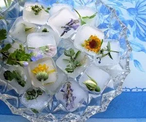 Ice за лицето и тялото на ползи и вреди, рецепти и съвети