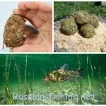 Тенч риболов е през пролетта