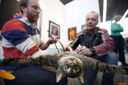 Flying котка с мотор - ужаса на Амстердам - новини на снимки () Flying котка с мотор - ужаса на Амстердам - новини в снимки