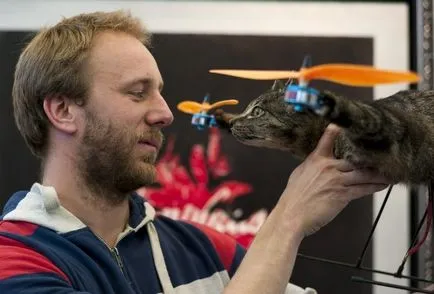 Flying котка с мотор - ужаса на Амстердам - новини на снимки () Flying котка с мотор - ужаса на Амстердам - новини в снимки