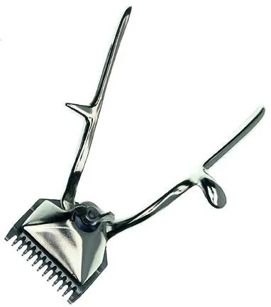 Clipper котки, за да изберете и как да се използват