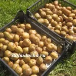 Спреят на колорадски бръмбар, къща