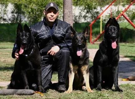 различни немски и Източна Европа Shepherd източник на добро настроение на