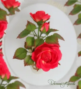 майсторски класове