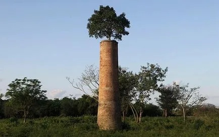Свят без хора, фото новини