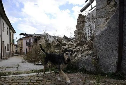 Свят без хора, фото новини
